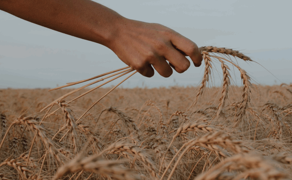Man holding an offering of grain